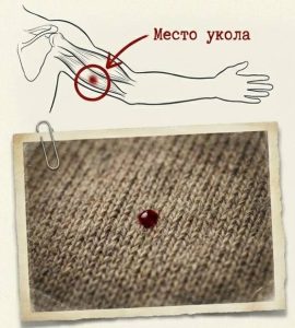 Убийства на выставке собак
